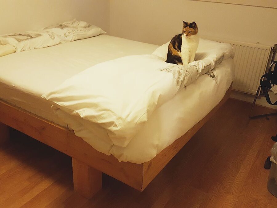 Bed Azobe gemaakt door Rika