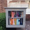 DIY free little library-Libros-by Janet