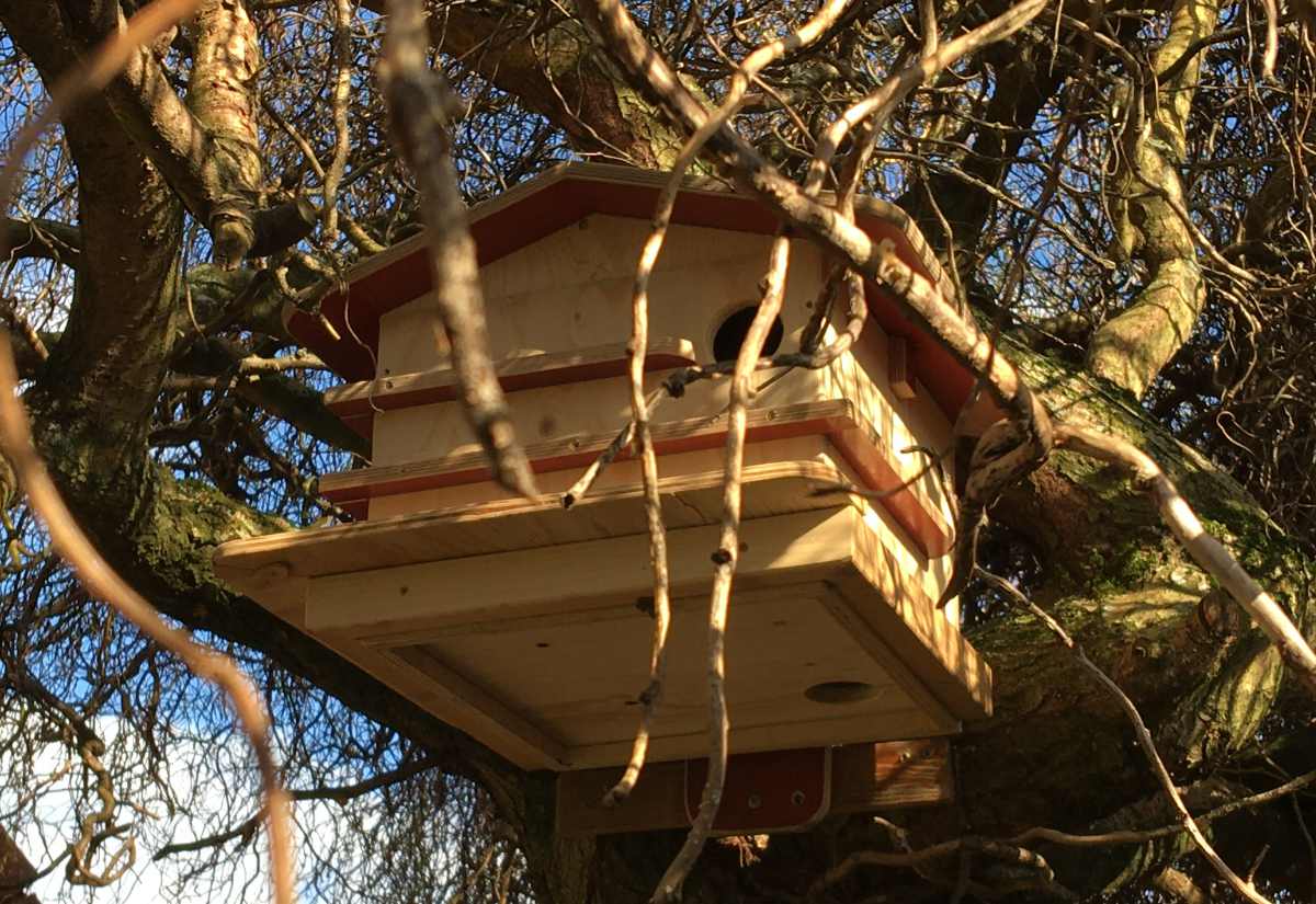 Squirrel house Arvilla made by Rob