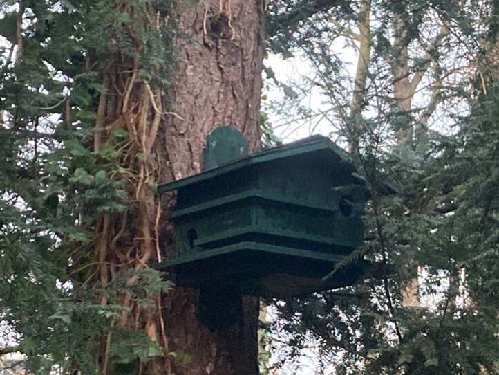 Eekhoornhuis Arvilla gemaakt door Willy