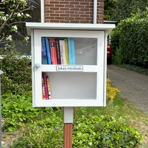 doe-het-zelf minibieb