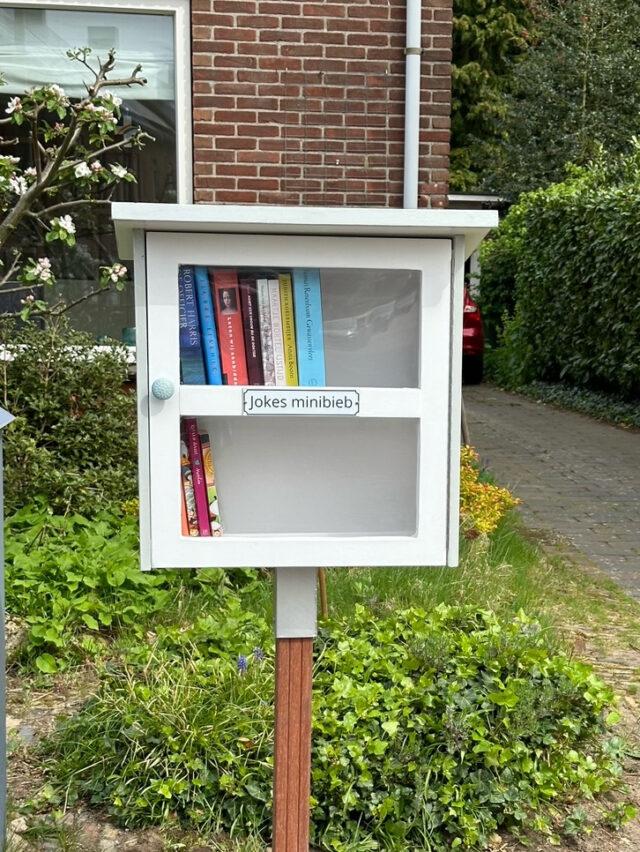 doe-het-zelf minibieb